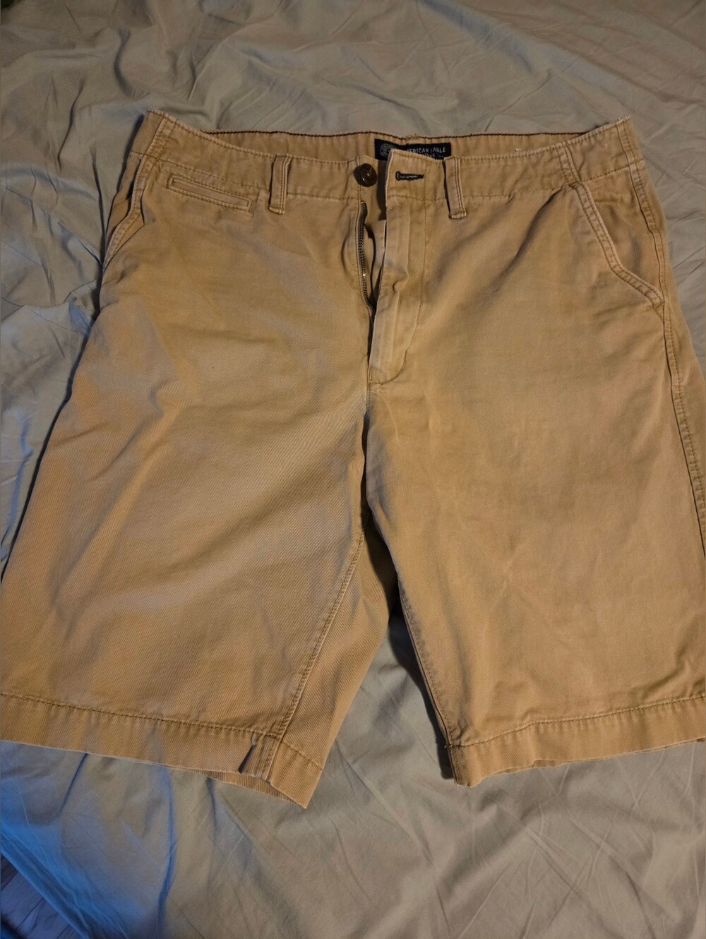 Mens American Eagle Longboard Shorts
